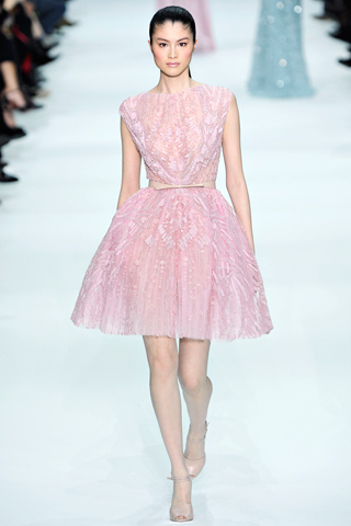 Ellie Saab Spring 2012 couture dress pink
